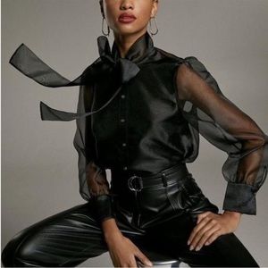 Zara Organza blouse with tie